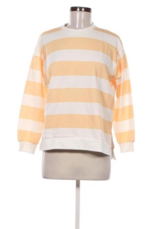 Damen Shirt Sinsay, Größe S, Farbe Mehrfarbig, Preis € 11,99