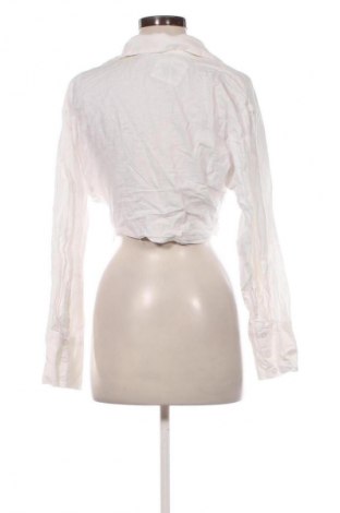 Damen Shirt Zara, Größe M, Farbe Weiß, Preis 13,81 €