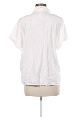 Damenbluse Armedangels, Größe L, Farbe Weiß, Preis € 19,99