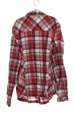 Damenbluse Cecil, Größe L, Farbe Mehrfarbig, Preis € 28,99