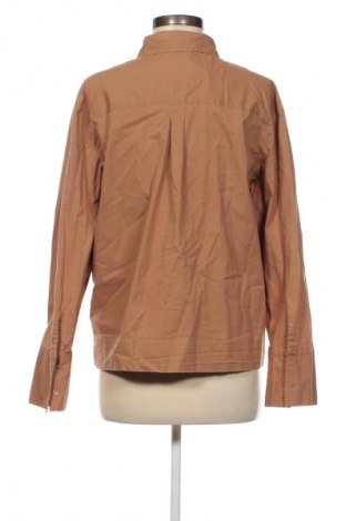Damenbluse Cecil, Größe L, Farbe Braun, Preis € 21,00