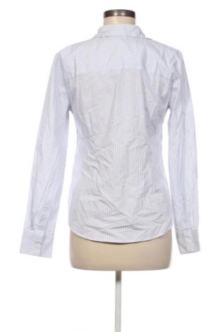 Damenbluse H&M, Größe L, Farbe Mehrfarbig, Preis € 12,79
