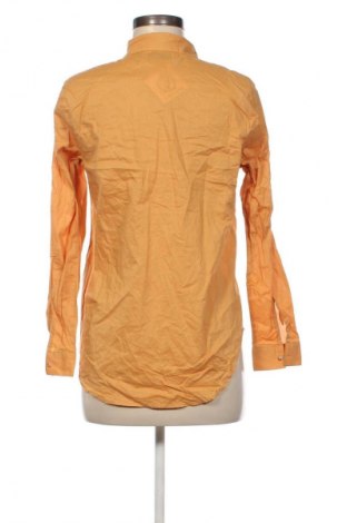 Damenbluse House, Größe S, Farbe Gelb, Preis 17,99 €
