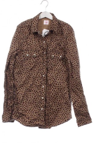 Damenbluse Lacoste, Größe XS, Farbe Mehrfarbig, Preis 22,99 €