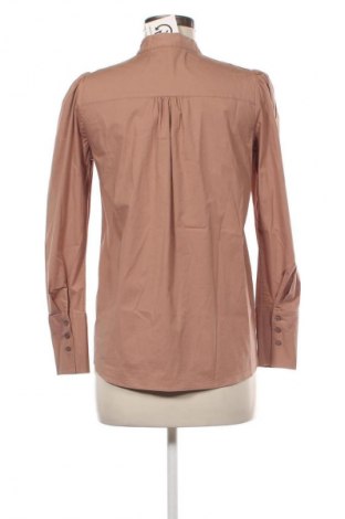 Damenbluse Massimo Dutti, Größe S, Farbe Braun, Preis € 30,00