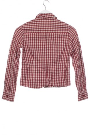 Damenbluse Tom Tailor, Größe XS, Farbe Mehrfarbig, Preis € 21,00