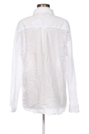 Damenbluse Zara, Größe XL, Farbe Weiß, Preis € 13,80