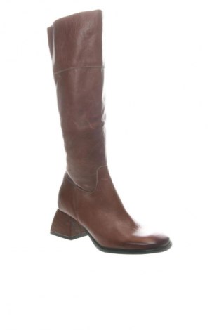 Damenstiefel Divine Follie, Größe 38, Farbe Braun, Preis € 239,99