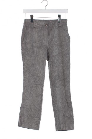 Pantaloni de velvet de femei Unbranded, Mărime S, Culoare Gri, Preț 100,99 Lei
