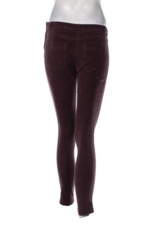 Damen Cordhose United Colors Of Benetton, Größe S, Farbe Lila, Preis € 17,98
