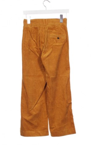 Damskie sztruksy Zara, Rozmiar XS, Kolor Żółty, Cena 62,07 zł