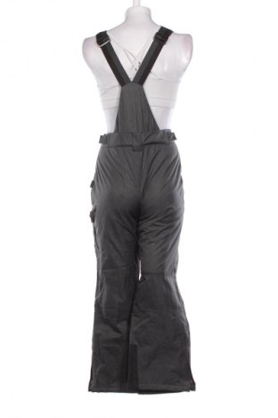 Dámska overal pre zimné športy Crane, Veľkosť M, Farba Sivá, Cena  34,95 €