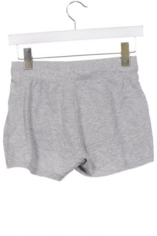 Damen Shorts Esmara, Größe XS, Farbe Grau, Preis € 7,99