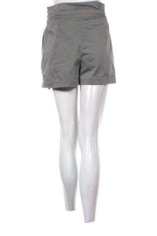 Damen Shorts Morgan, Größe M, Farbe Grau, Preis € 23,53