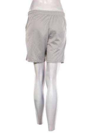 Damen Shorts The North Face, Größe M, Farbe Grau, Preis 24,55 €