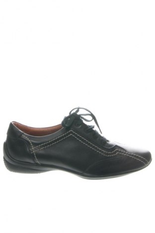 Damenschuhe Arche, Größe 38, Farbe Schwarz, Preis € 92,99