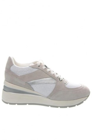 Damenschuhe Geox, Größe 40, Farbe Mehrfarbig, Preis € 112,99