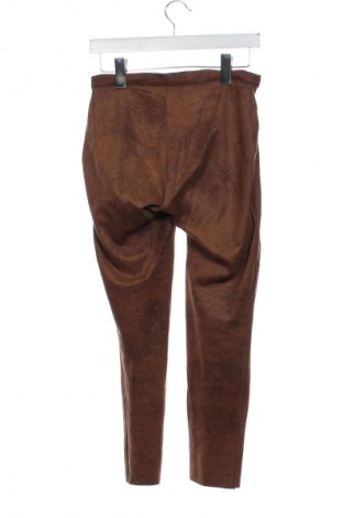 Damenhose Calzedonia, Größe S, Farbe Braun, Preis 11,99 €