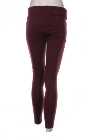 Damenhose Daily Ritual, Größe L, Farbe Lila, Preis € 20,99