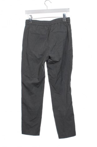 Damenhose Esprit, Größe XS, Farbe Grau, Preis 28,99 €
