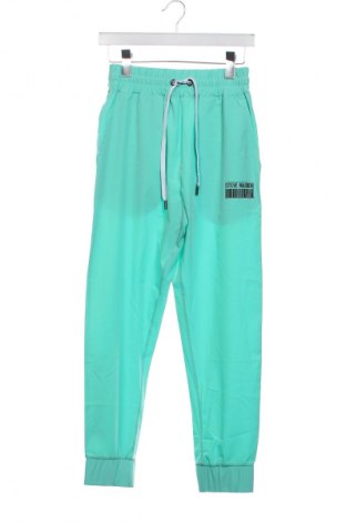 Pantaloni de femei Steve Madden, Mărime XS, Culoare Verde, Preț 388,99 Lei