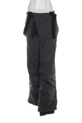 Dámske nohavice pre zimné športy ASICS, Veľkosť XXL, Farba Sivá, Cena  31,95 €