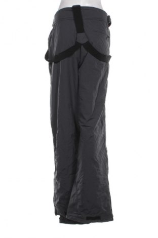 Dámske nohavice pre zimné športy ASICS, Veľkosť XXL, Farba Sivá, Cena  31,95 €