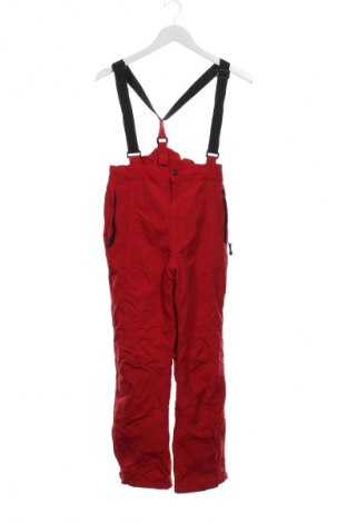 Dámské kalhoty pro zimní sporty  Great Escapes, Velikost M, Barva Červená, Cena  699,00 Kč