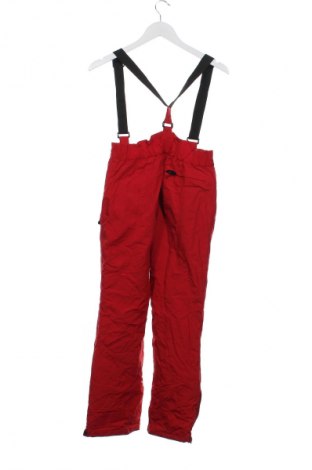 Dámské kalhoty pro zimní sporty  Great Escapes, Velikost M, Barva Červená, Cena  699,00 Kč