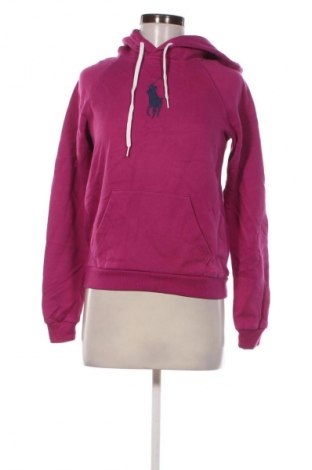 Damen Sweatshirt Polo Ralph Lauren, Größe XS, Farbe Rosa, Preis € 89,99