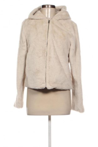 Damenjacke Abercrombie & Fitch, Größe S, Farbe Ecru, Preis € 49,99