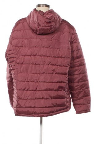 Dámska bunda  Janina, Veľkosť XXL, Farba Popolavo ružová, Cena  17,95 €