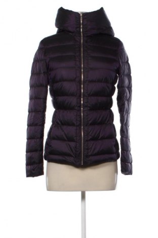 Γυναικείο μπουφάν Massimo Dutti, Μέγεθος S, Χρώμα Βιολετί, Τιμή 45,48 €