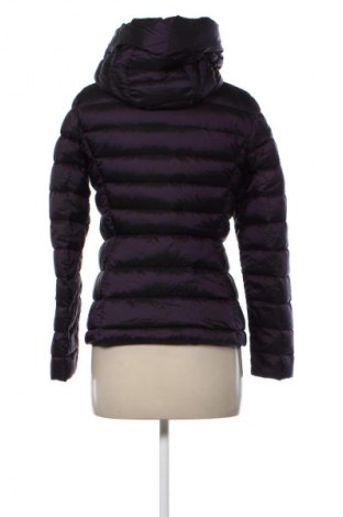 Γυναικείο μπουφάν Massimo Dutti, Μέγεθος S, Χρώμα Βιολετί, Τιμή 45,48 €
