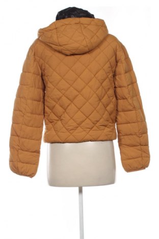 Dámska bunda  Motivi, Veľkosť S, Farba Oranžová, Cena  47,95 €