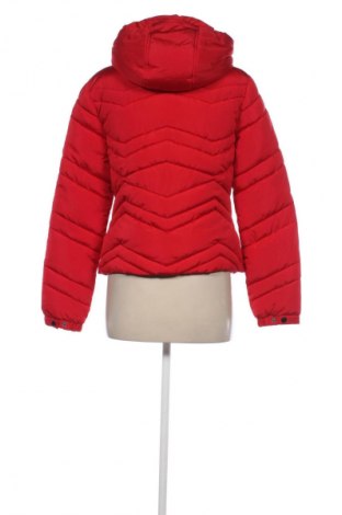 Damenjacke Primark, Größe S, Farbe Rot, Preis 25,99 €