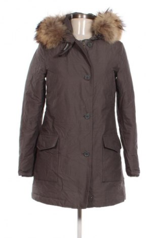 Damenjacke Woolrich, Größe XXS, Farbe Braun, Preis € 129,99