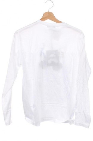 Detská blúzka  F.Y.F, Veľkosť 15-18y/ 170-176 cm, Farba Biela, Cena  29,95 €