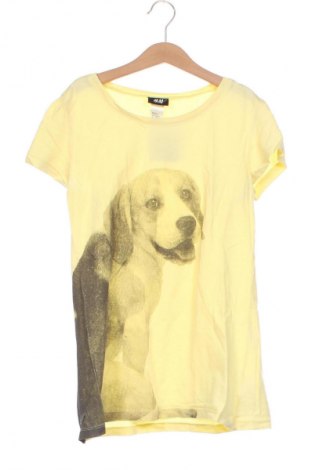 Dětská halenka  H&M, Velikost 12-13y/ 158-164 cm, Barva Vícebarevné, Cena  144,00 Kč