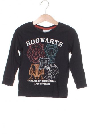 Dětská halenka  Harry Potter, Velikost 18-24m/ 86-98 cm, Barva Vícebarevné, Cena  293,00 Kč