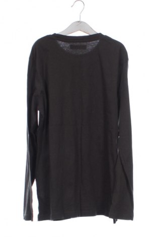 Dětská halenka  Zara, Velikost 10-11y/ 146-152 cm, Barva Zelená, Cena  178,00 Kč