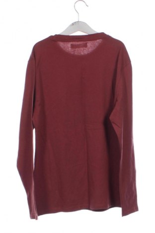 Dětská halenka  Zara, Velikost 10-11y/ 146-152 cm, Barva Hnědá, Cena  394,00 Kč