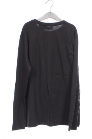 Dětská halenka  Zara, Velikost 10-11y/ 146-152 cm, Barva Zelená, Cena  178,00 Kč