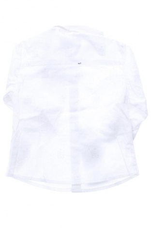 Dziecięca koszula Bikkembergs, Rozmiar 1-2m/ 50-56 cm, Kolor Biały, Cena 384,99 zł