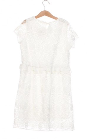 Dětské šaty  Zara, Velikost 8-9y/ 134-140 cm, Barva Vícebarevné, Cena  253,00 Kč