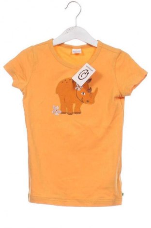Dětské tričko  GREEN COTTON, Velikost 3-4y/ 104-110 cm, Barva Oranžová, Cena  337,00 Kč