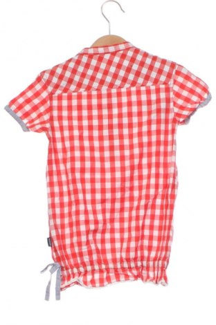 Dětské tričko  Tiffosi, Velikost 2-3y/ 98-104 cm, Barva Vícebarevné, Cena  152,00 Kč