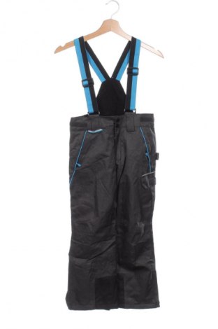 Salopetă pentru copii pentru sporturi de iarnă Crane, Mărime 7-8y/ 128-134 cm, Culoare Gri, Preț 105,99 Lei