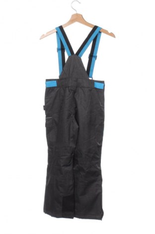 Salopetă pentru copii pentru sporturi de iarnă Crane, Mărime 7-8y/ 128-134 cm, Culoare Gri, Preț 105,99 Lei