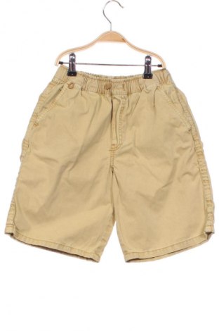 Dětské krátké kalhoty  Zara, Velikost 13-14y/ 164-168 cm, Barva Žlutá, Cena  119,00 Kč